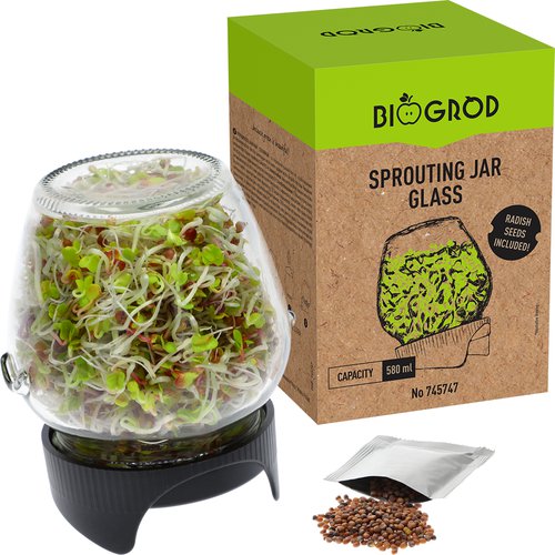 sprouting-jar-glass-seeds-745747_boxen